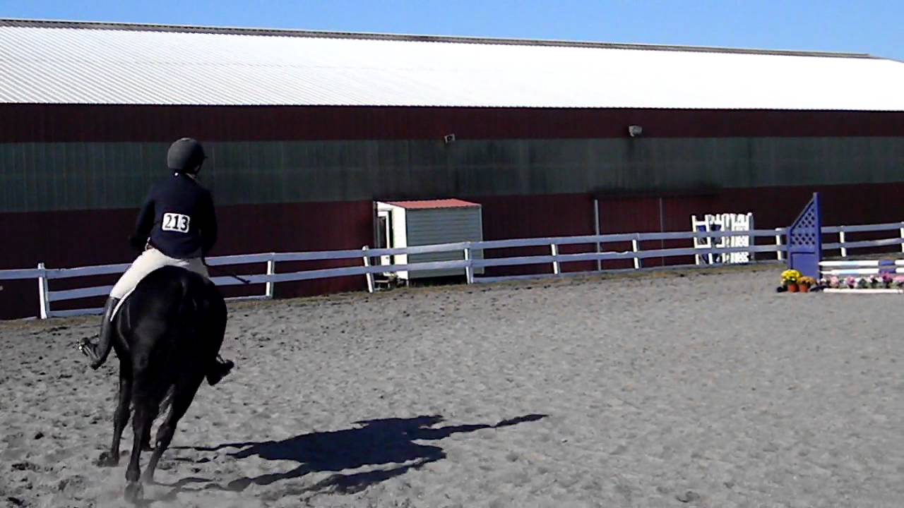 Erin Griffith ~ Novice Fences