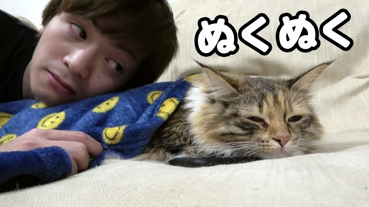 猫のおくるみが可愛すぎる