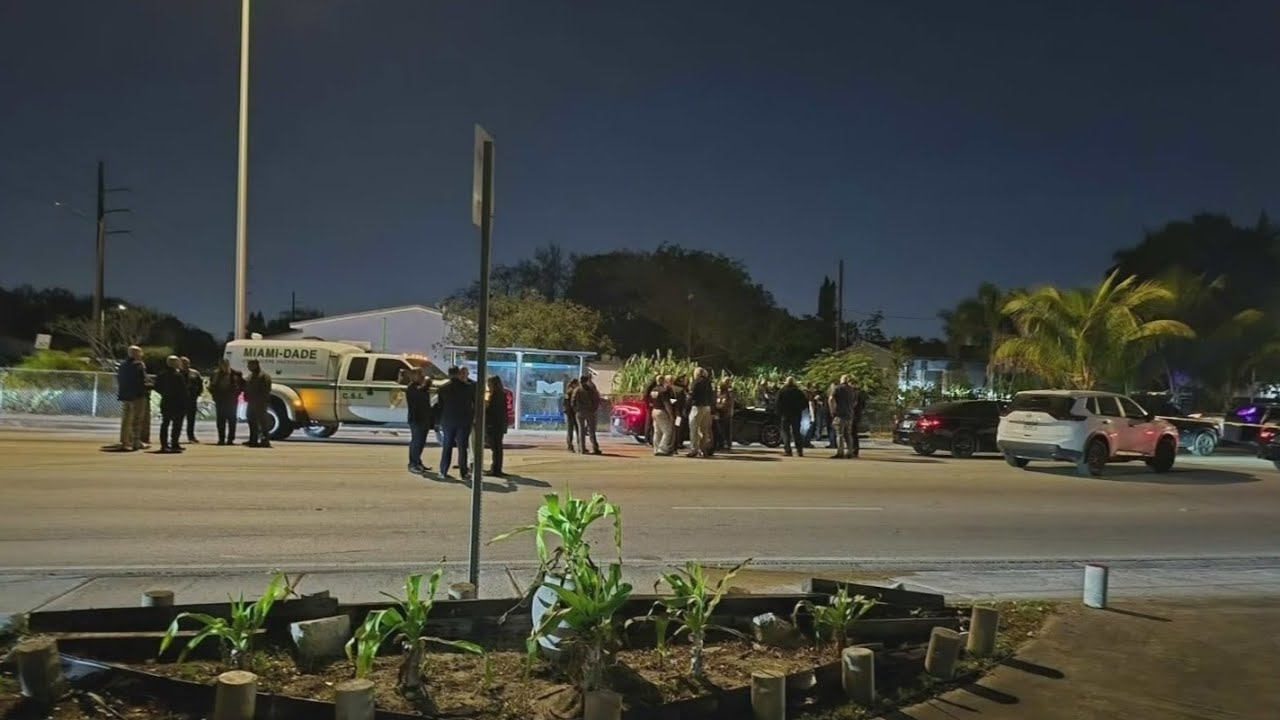Armed man shot after fleeing traffic stop, crashing in northwest Miami-Dade, sheriff's office says