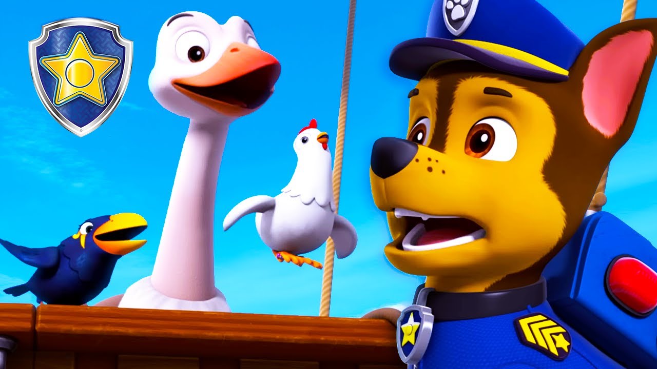 Chase Rescues Myrna’s Bird Friends 🐦 | Chase Official Channel | PAW Patrol