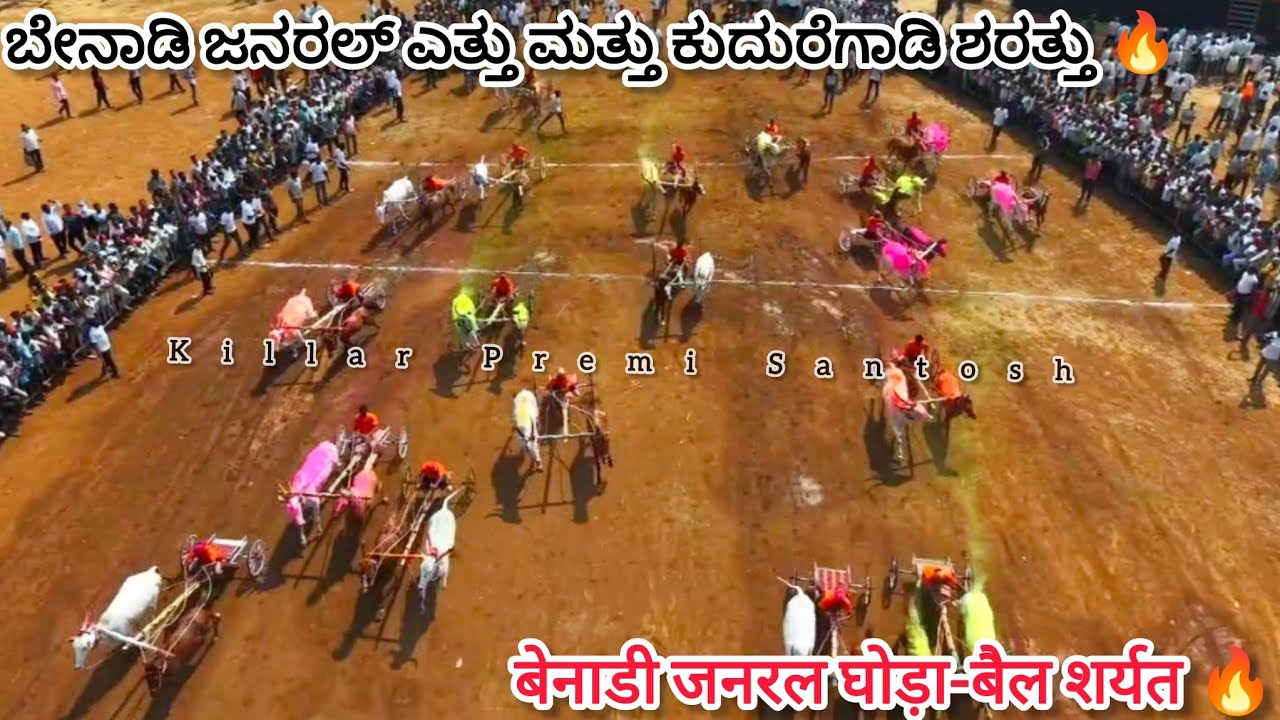 ಬೇನಾಡಿ ಜನರಲ್ ಎತ್ತು ಮತ್ತು ಕುದುರೆಗಾಡಿ ಶರತ್ತು || बेनाडी जनरल घोड़ा-बैल शर्यत 🔥🚩#bailgadasharyat #drone 