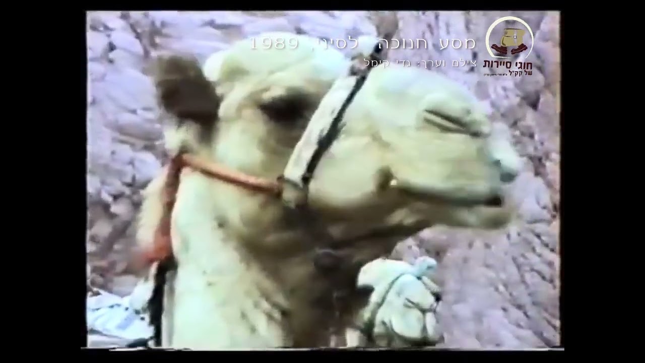 טיול חוגי סיירות לסיני 1989🏜️