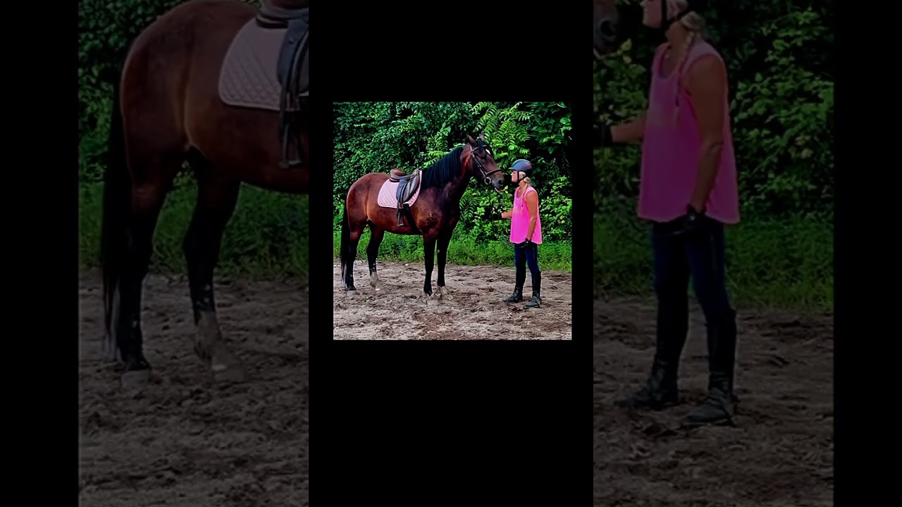 Girl time at the stable 🩷 