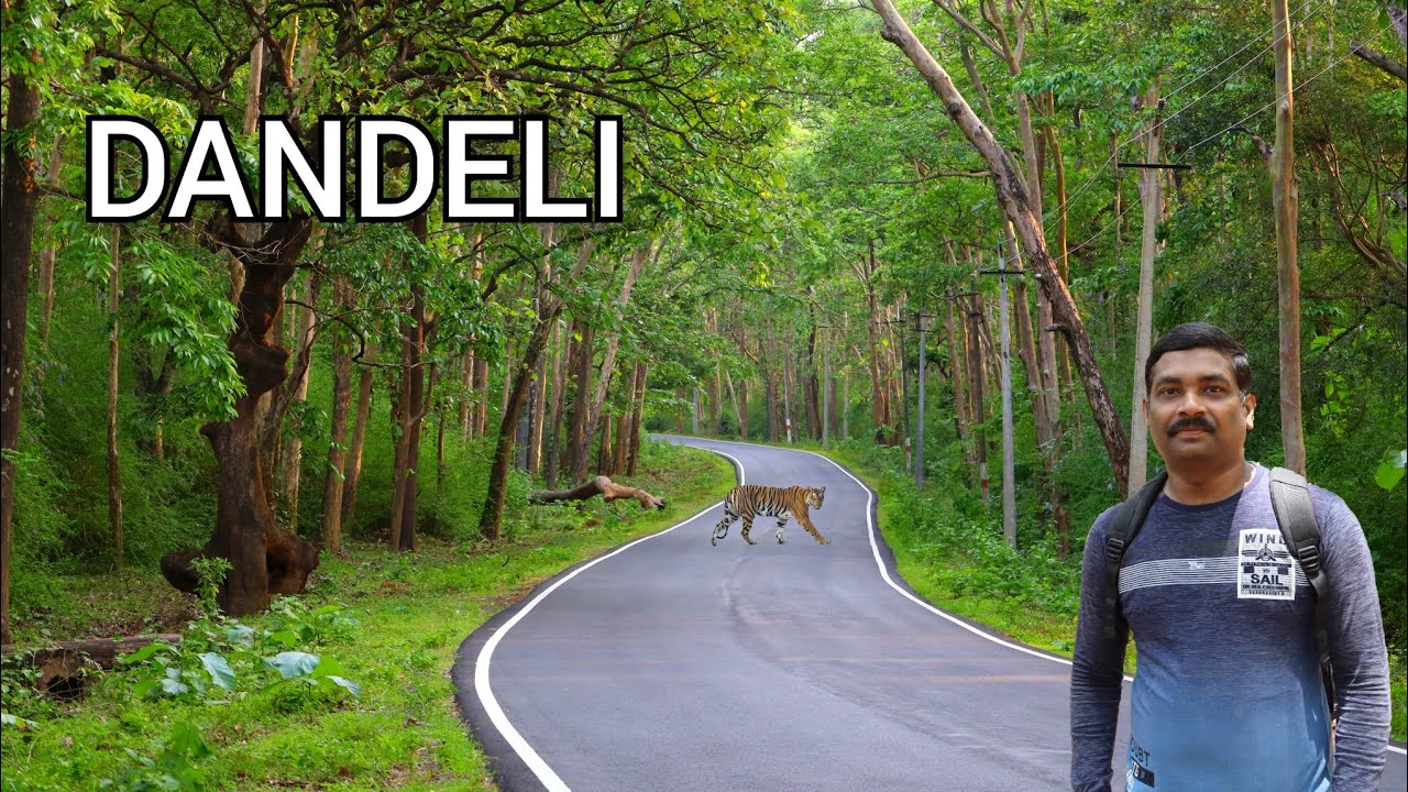DANDELI