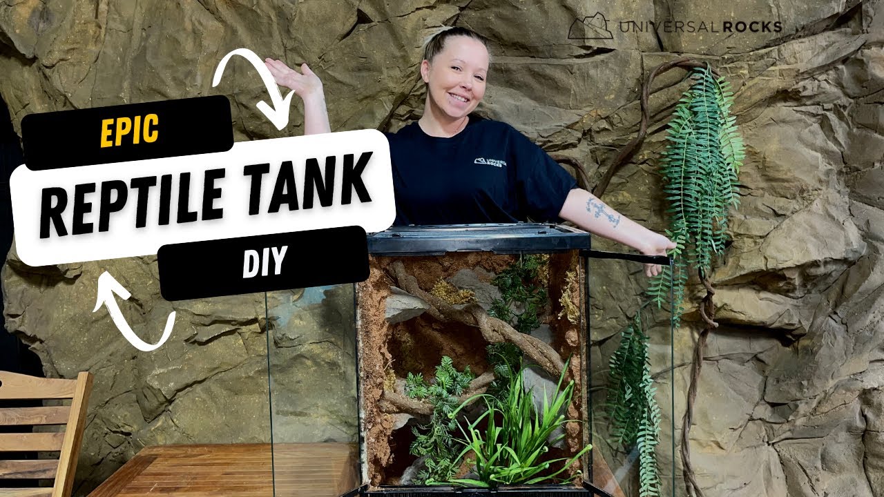 Ultimate DIY:  Upgrade your Reptile Tank! | How to Make a DIY Reptile Enclosure