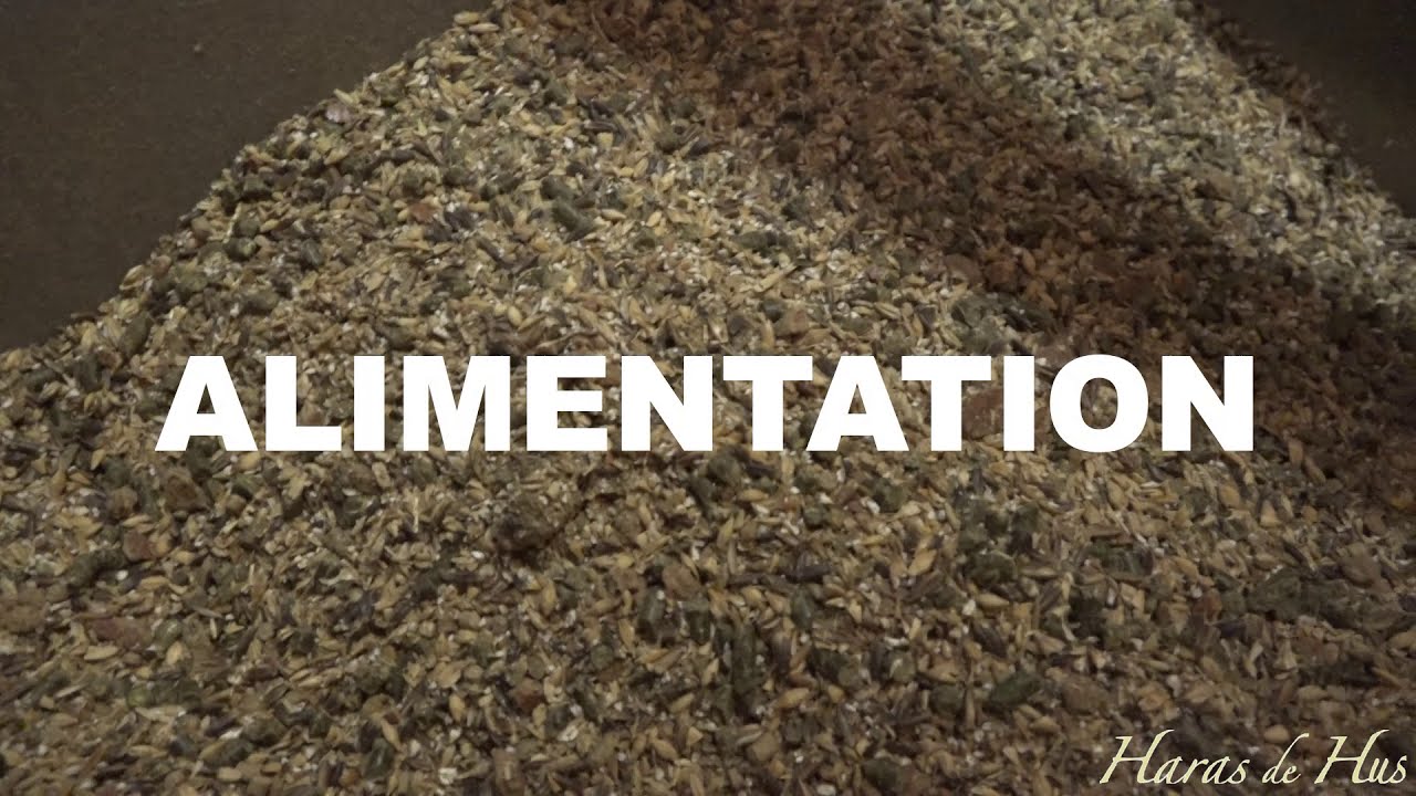 L'alimentation de nos chevaux | Haras de Hus