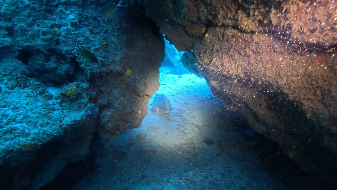 Tauchen auf Fuerteventura (Caleta de Fuste, Kanarische Inseln) mit @DeepBlueDivingFuerte