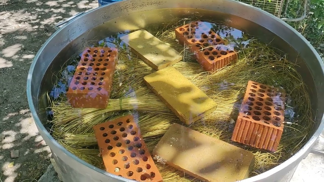Preparación del esparto para tintar, picar y trabajarlo