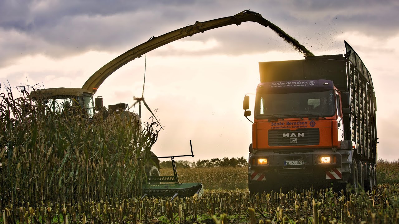 MAISERNTE mit SPEZIALTECHNIK - 2x Krone Big X 1100 und Agrotrucks | LU Sönke Berndsen (4K)