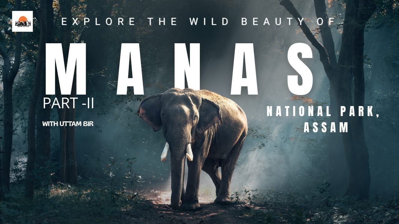 Entering the Bhuyanpara Range||Eastern Zone||  Manas National Park|| Assam|| National Park || Part-2