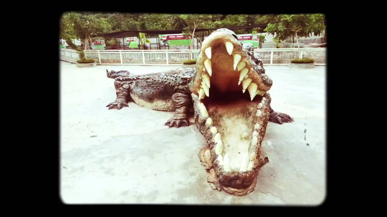 G+ AA - Predator Fun Park, Batu