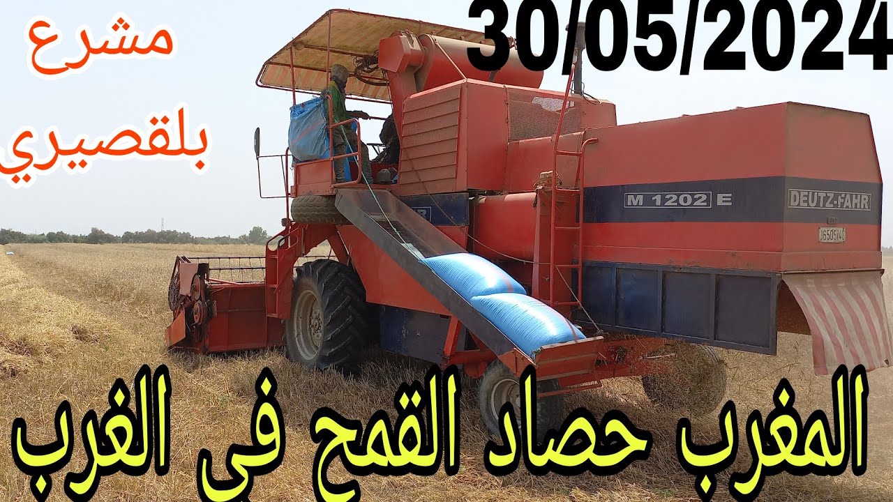 انطلاق الحصاد القمح فى الغرب المغرب في مشرع بلقصيري  نواحي سيدي قاسم 🇲🇦🇲🇦🇲🇦🇲🇦🇲🇦