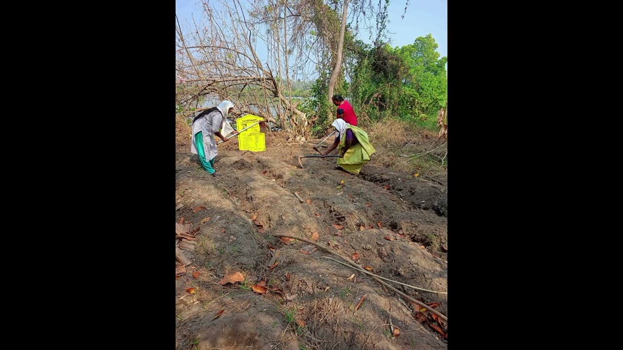 MGNREGS EZHIKKARA 1608011003/LD/670266