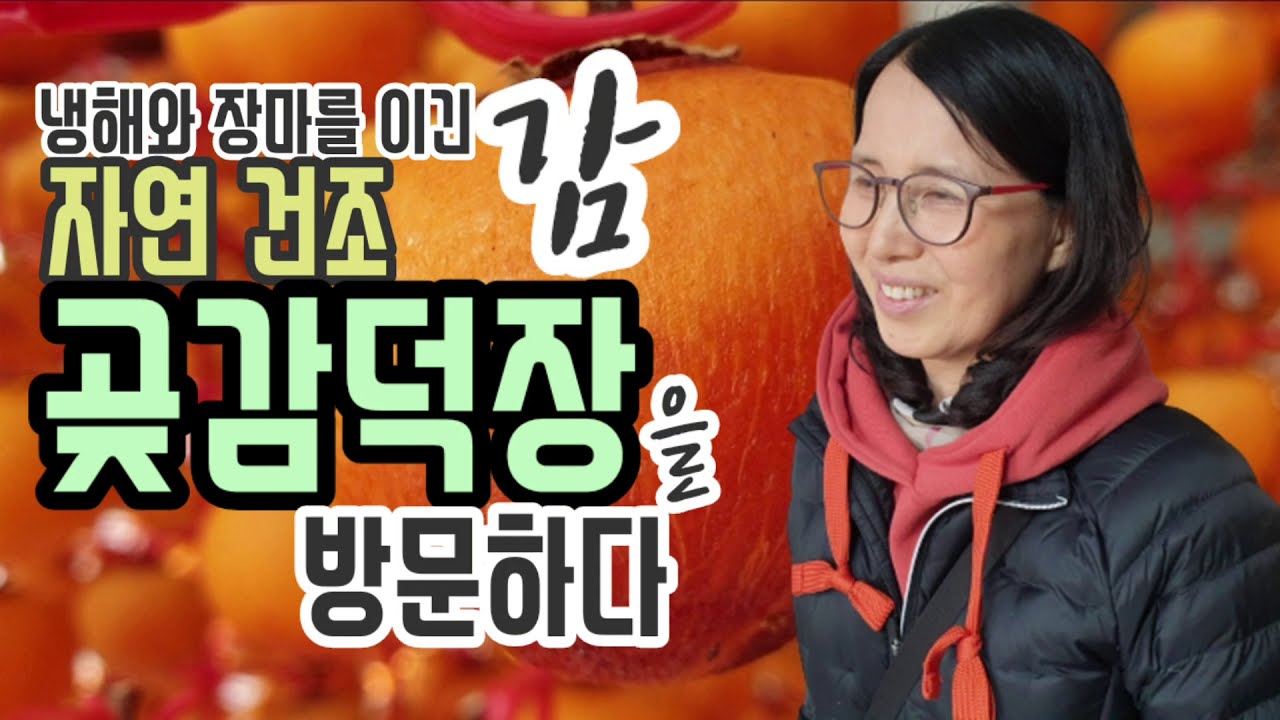 냉해와 장마를 이긴 감 자연건조 곶감덕장을 방문하다