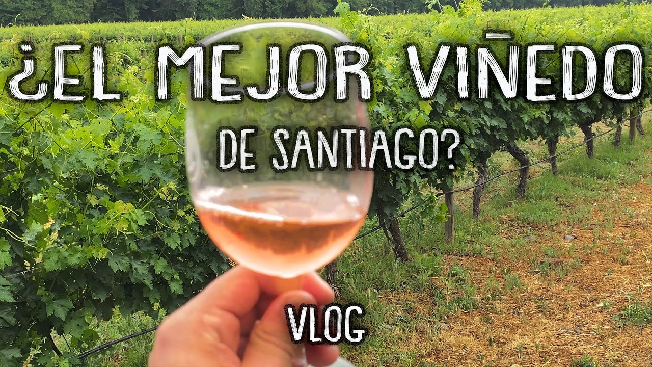 Viñedo Cousiño Macul | ¿Es el mejor viñedo de Santiago de Chile? #viñedos