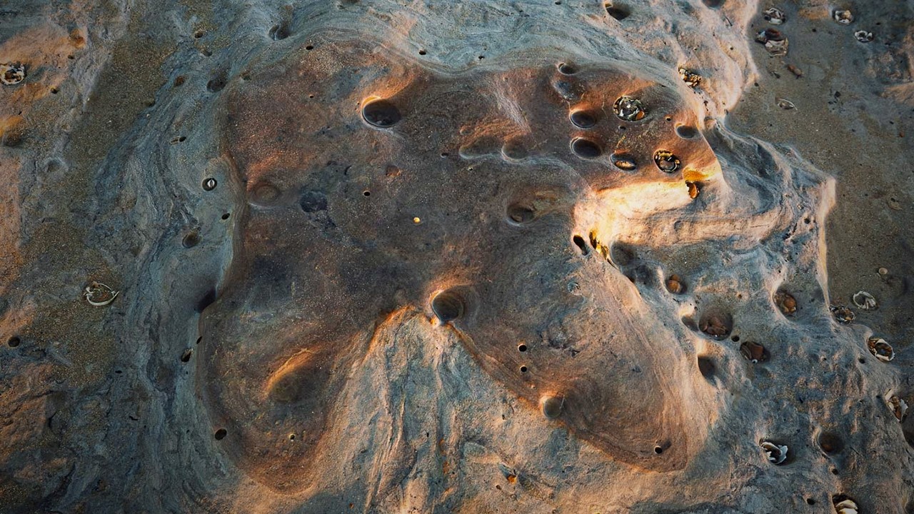 135 Million Year Old Dinosaur Footprints on Bexhill Beach