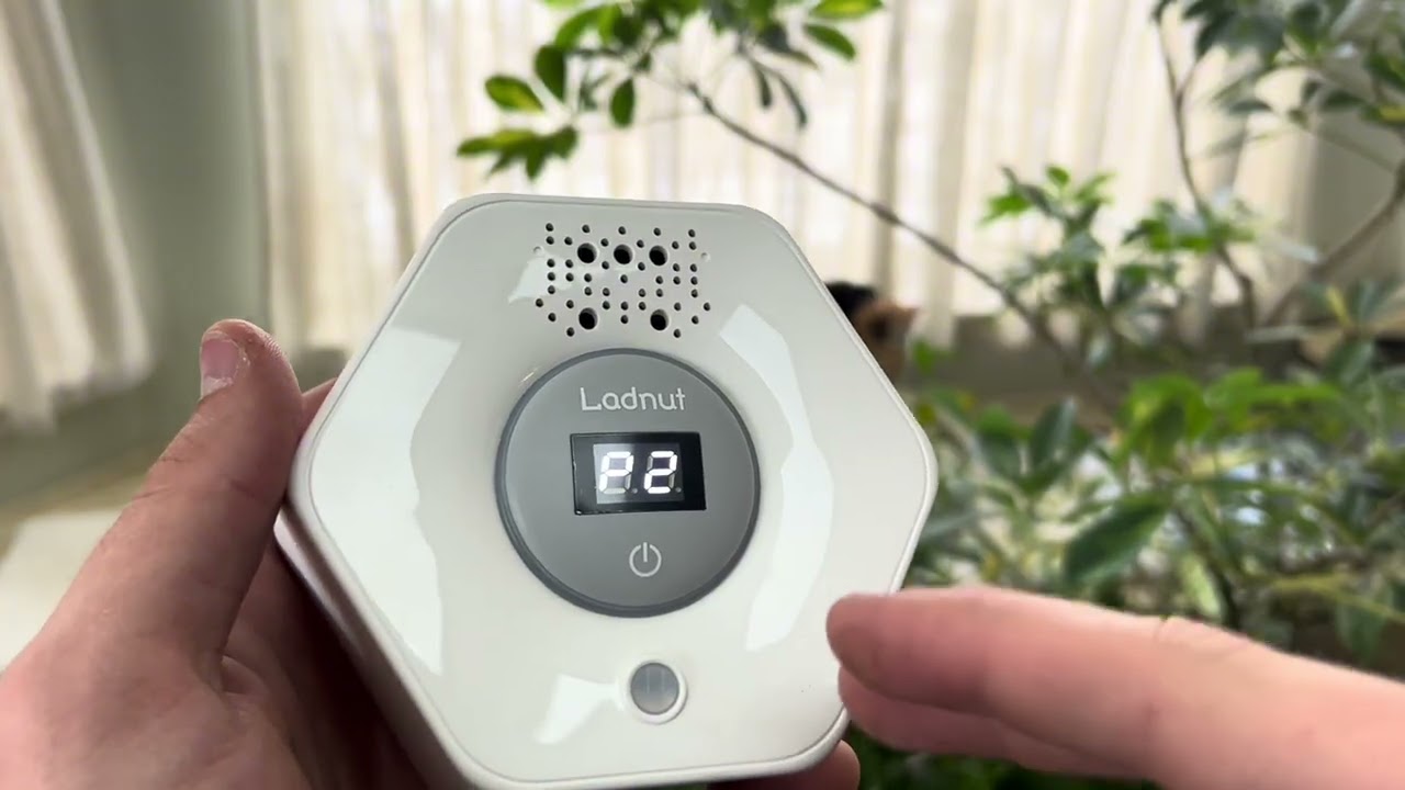 How We Use This Pet Deodorizer To Fight Litter Box Stench