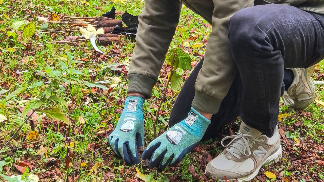 Polyco Healthline and Carbon Footprint - 200 trees planted!