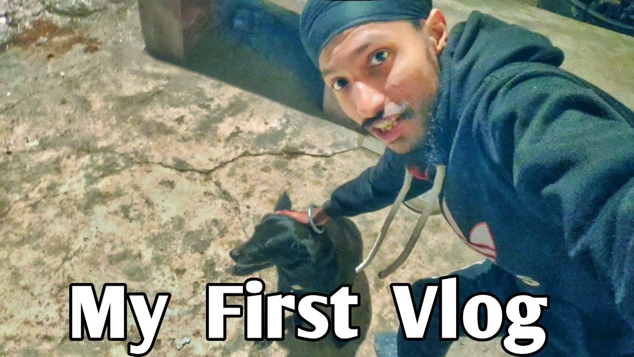 My First Vlog Ever 🔥 | Meet My Cute Dog | Daily Life Vlog || HARPREET SSV #vlog 