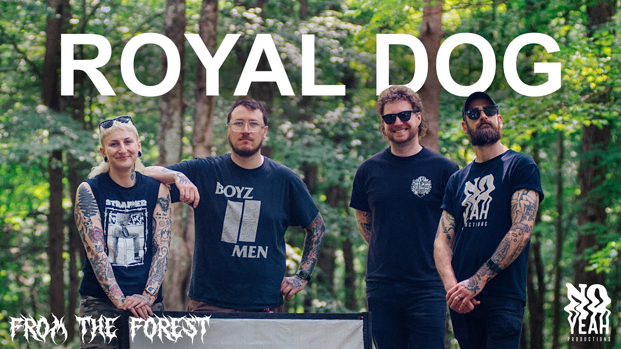 Royal Dog | From The Forest (Full Session)