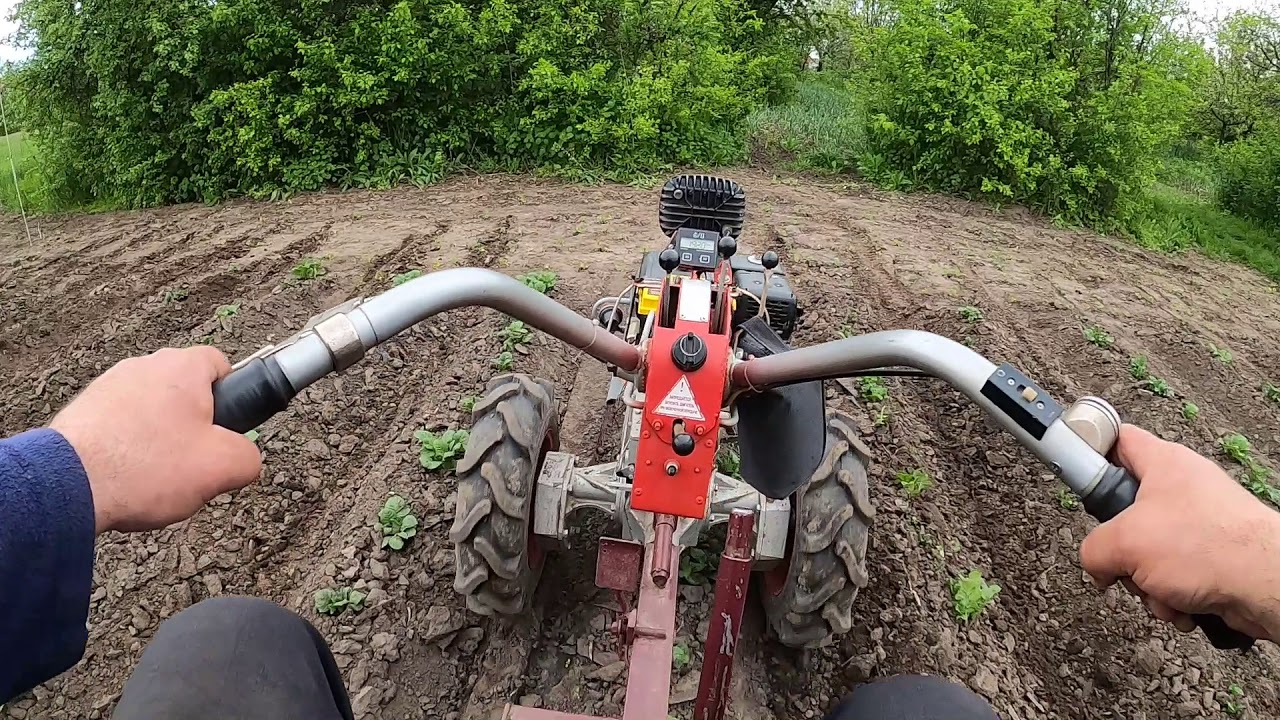 Конусные ротационные бороны по картофелю.Есть результат. Conical rotary harrows for potatoes. Super