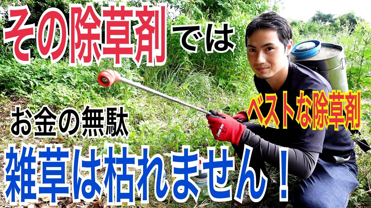 【目からウロコ】全ての雑草を枯らす除草剤を紹介します。【撒き方】【使い方】【雑草対策】