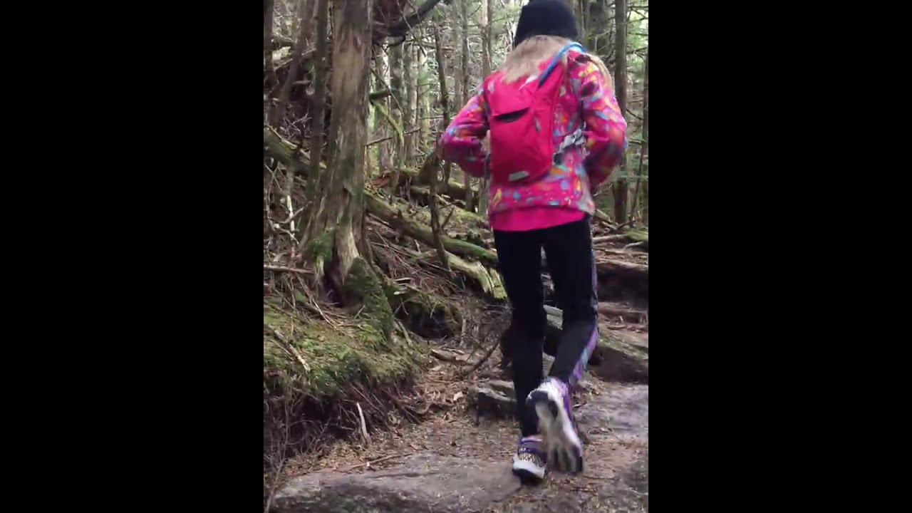 Mt. Mitchell Hike Deep Gap Trail #6 (Moss areas headed back to Cattail)