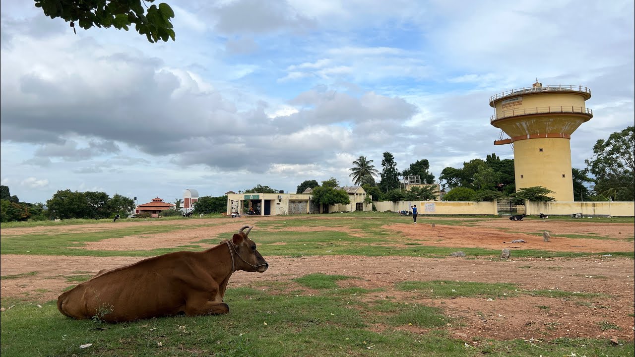 Mysore. Summer 2022 (1)