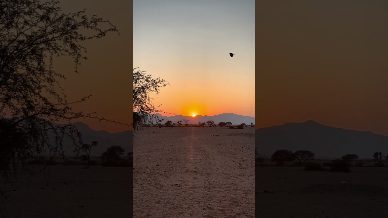 Sunrise on the Namib Desert’s Edge: Awakening the Wilderness