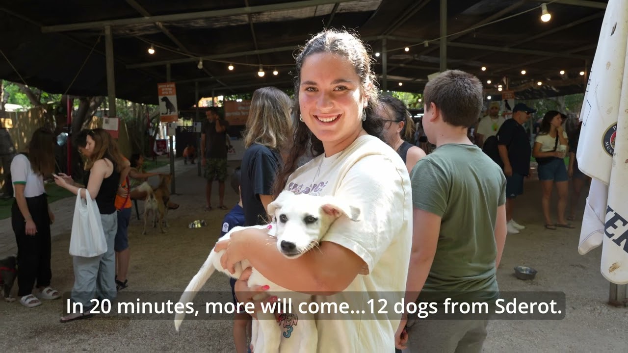 Iron Swords nov 2023