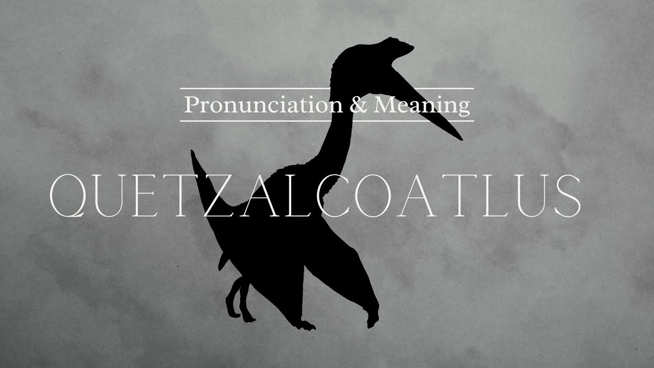 How to Pronounce: Quetzalcoatlus | British Pronunciation & Meaning