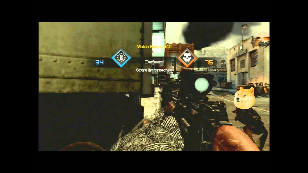such doge. many woof. wow