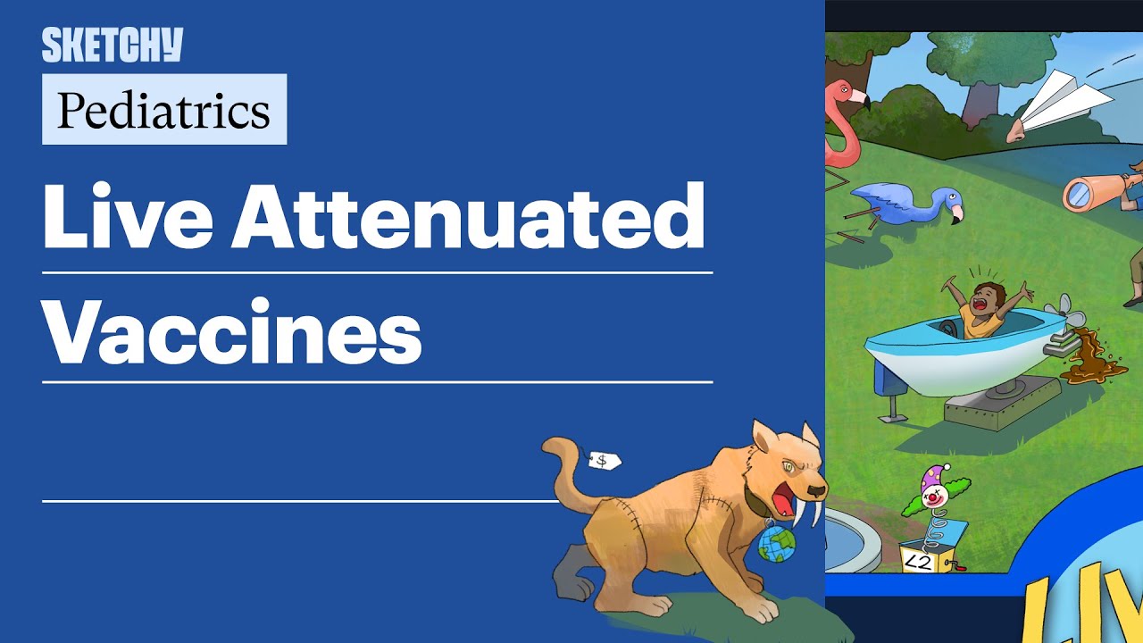 Live Attenuated Vaccines (Pediatrics) | Sketchy Medical
