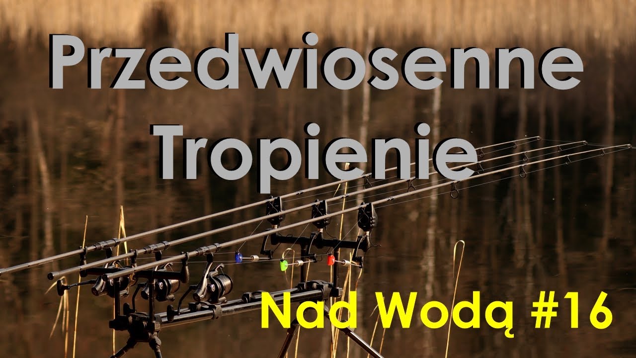 Przedwiosenne Tropienie Nad Wodą #16
