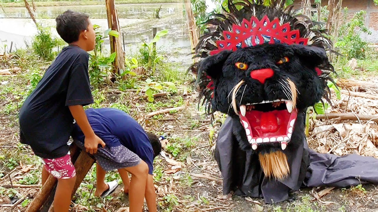 Dihajar Barongan gara2 nyuri pisang