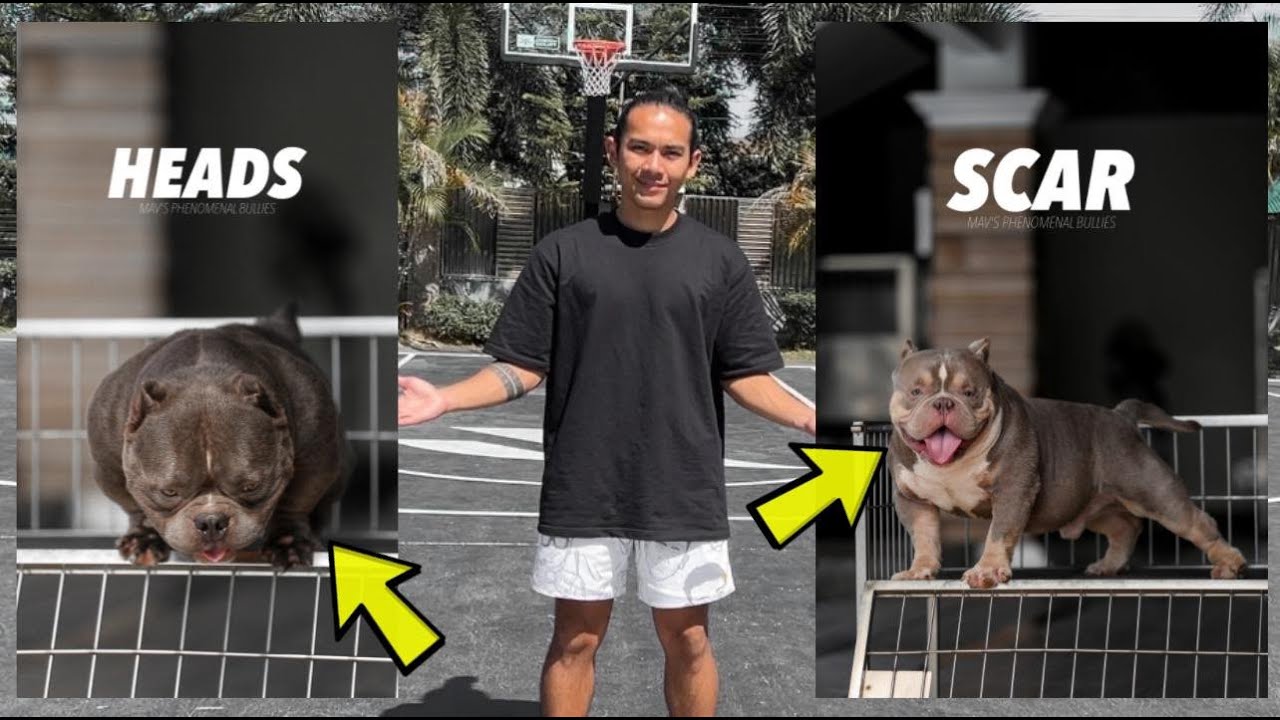 DAMING BISITA NG DALAWANG POGI | vlog 59