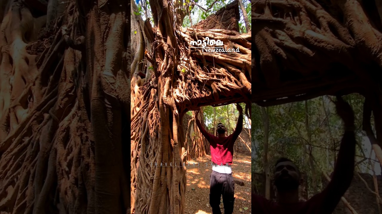 Best places of gudalur 😍 #gudalur #indiantravel #malappuram #calicut