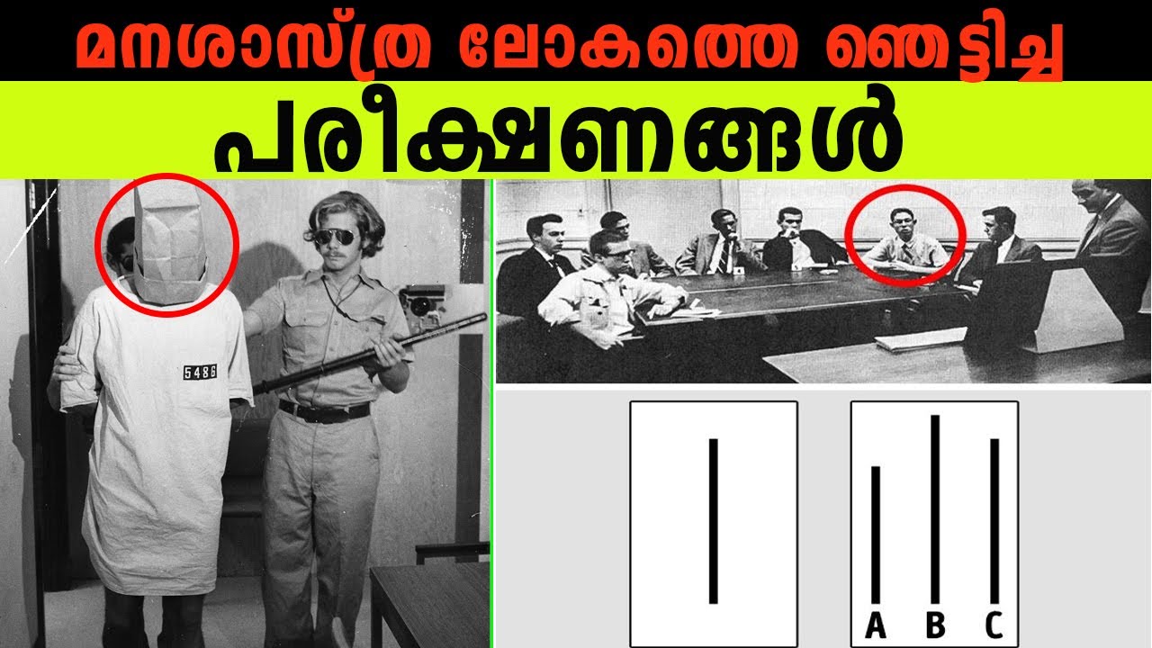 ഒട്ടും  പ്രതീക്ഷിക്കാത്ത ഫലങ്ങൾ ഉണ്ടായ മനഃശാസ്ത്ര പരീക്ഷണങ്ങൾ | Weirdest Psychological Tests
