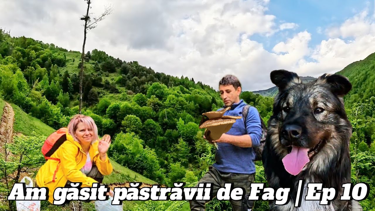 Am Găsit Păstrăvii de Fag! Aventura Noastră în Natura Sălbatică din Apusenii Sălbatici 🍄 | Ep. 10