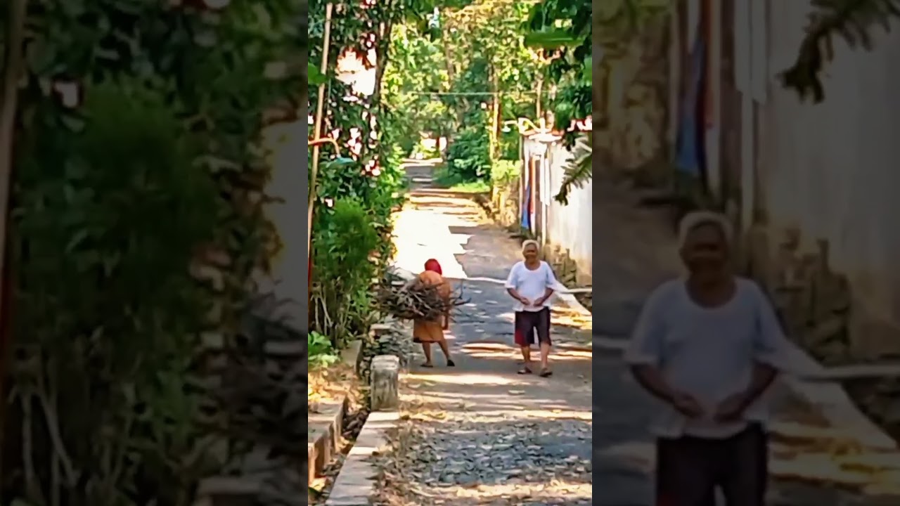 Simple Village Life Kehidupan Desa Sederhana 