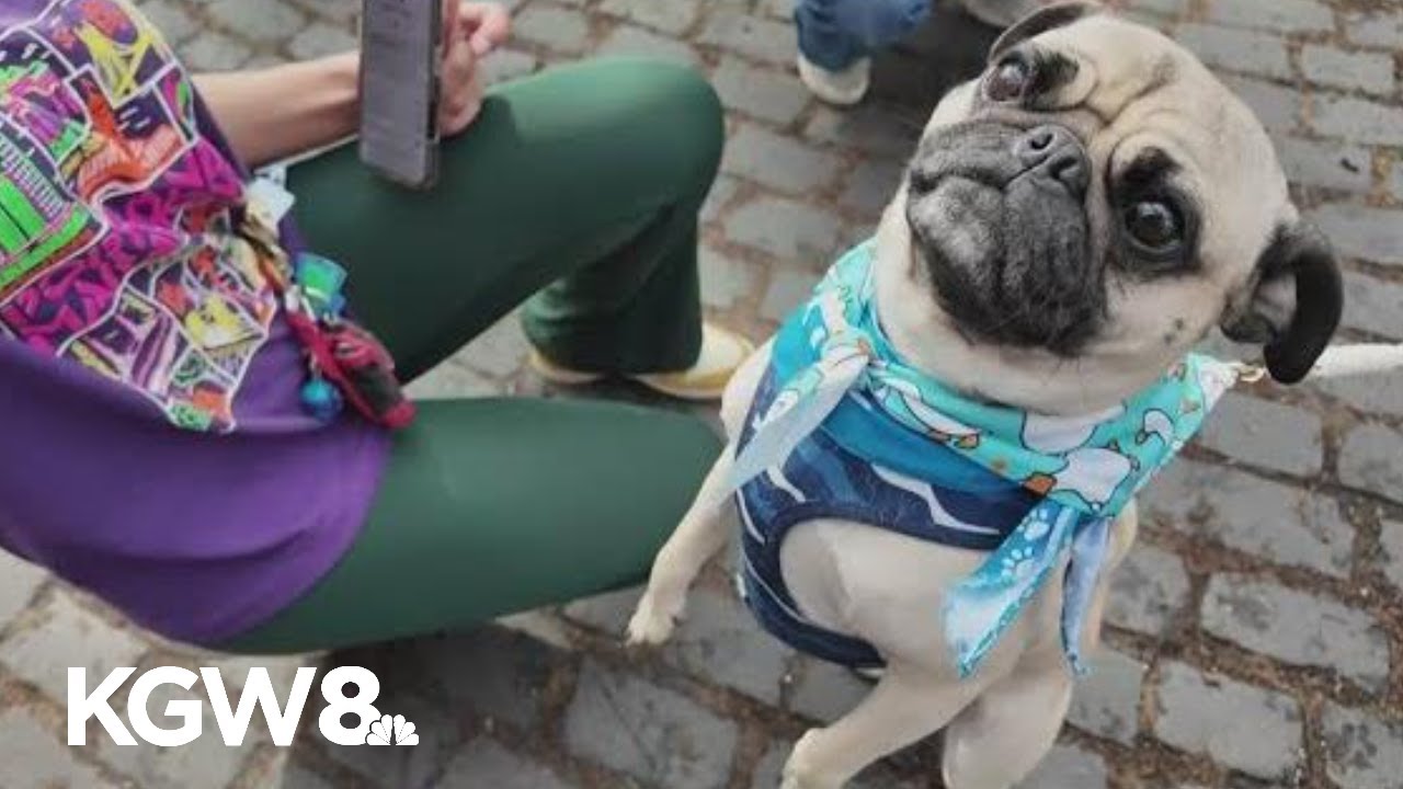 Portland Saturday Market returns for 52nd opening day