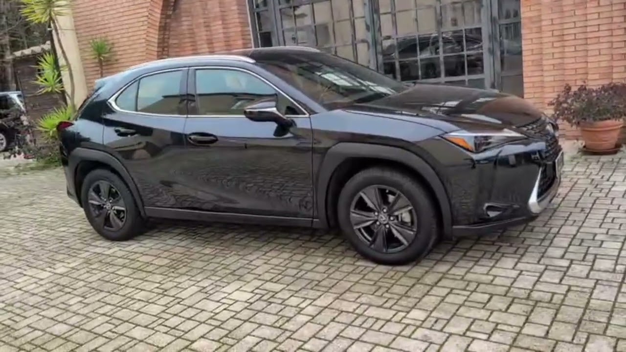 Lexus UX 2.0 Hybrid Business Tagliandata E6d