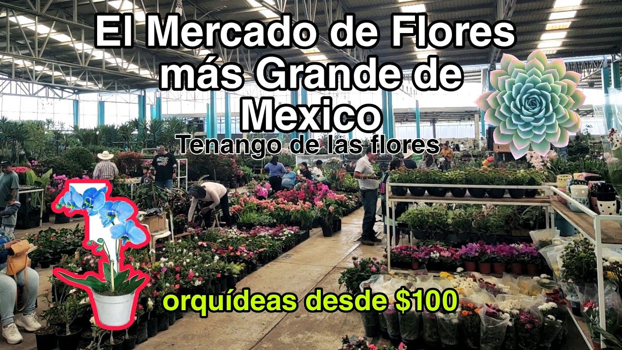 El mercado de Flores más increíble de México // Tenango de las Flores Puebla