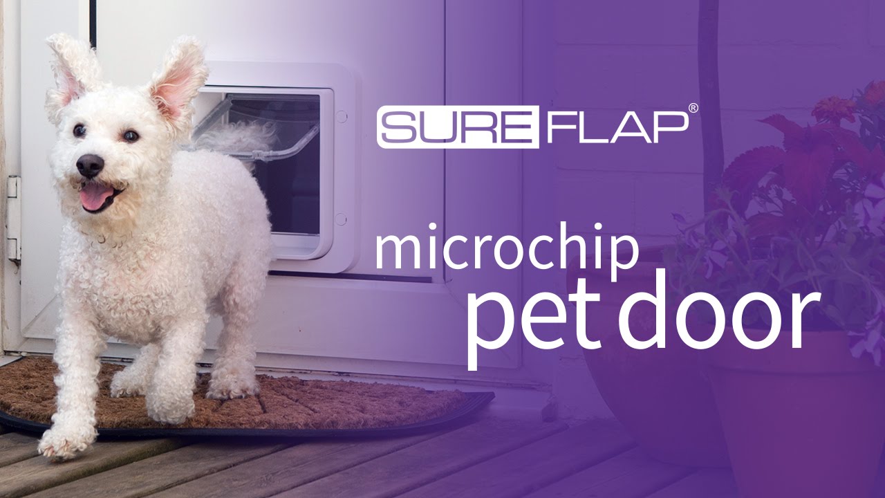 Locking and Unlocking the SureFlap Microchip Pet Door