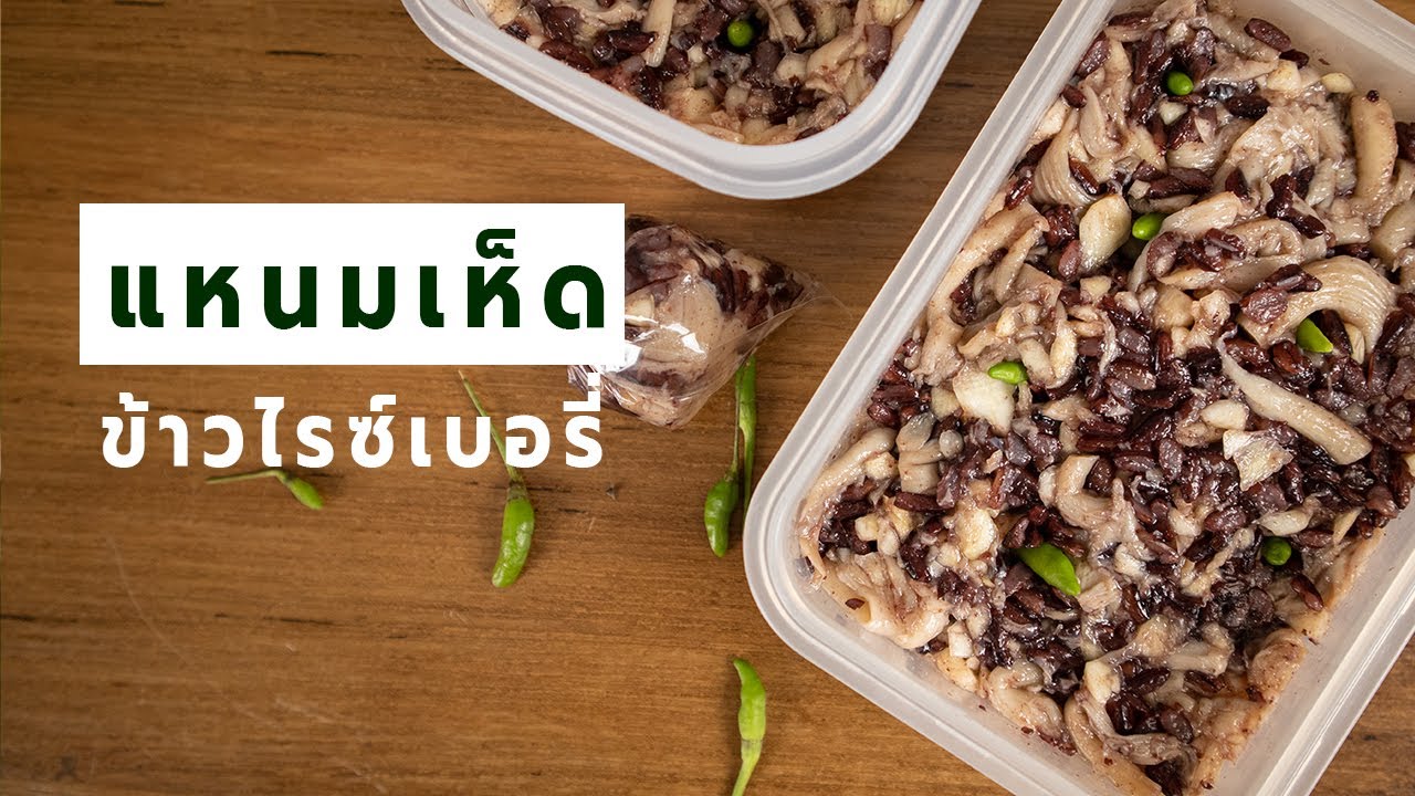 วิธีทำแหนมเห็ดข้าวไรซ์เบอรี่ แหนมเห็ดเจ ขายได้รายได้ดี | Fermented Mushroom & Rice Berry