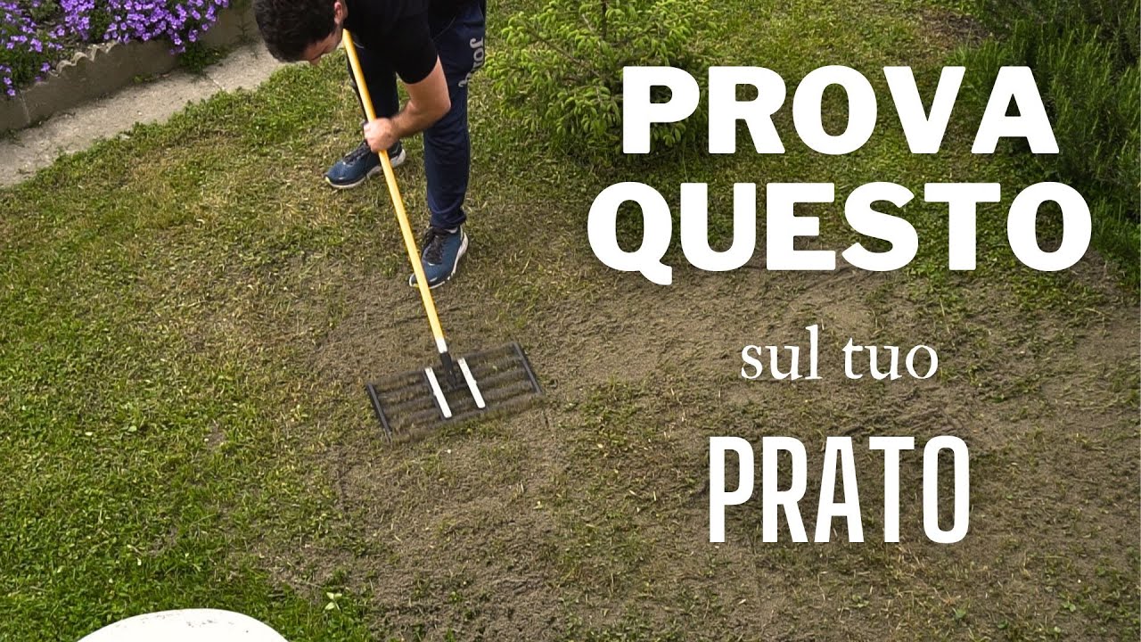 Le principali TECNICHE per mantenere il PRATO in SALUTE