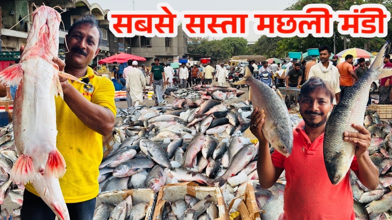 सबसे सस्ता मछली बाजार ॥ Ghazipur fish market rate today| गाजीपुर मछली मंडी॥RRRM |