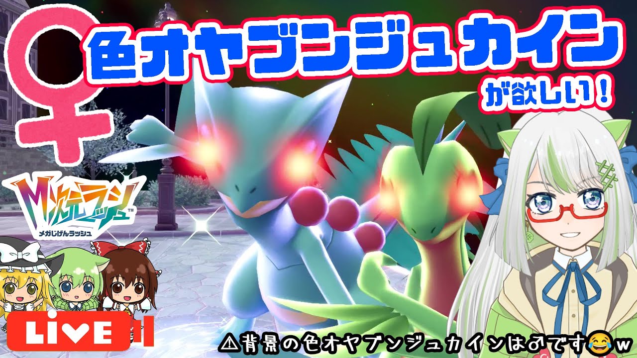 【♀縛り】御三家♀色オヤブン厳選！♀色オヤブンジュカイン狙ってくぞ！！！😆✨【ポケモン実況】 #ポケモン #色違い
