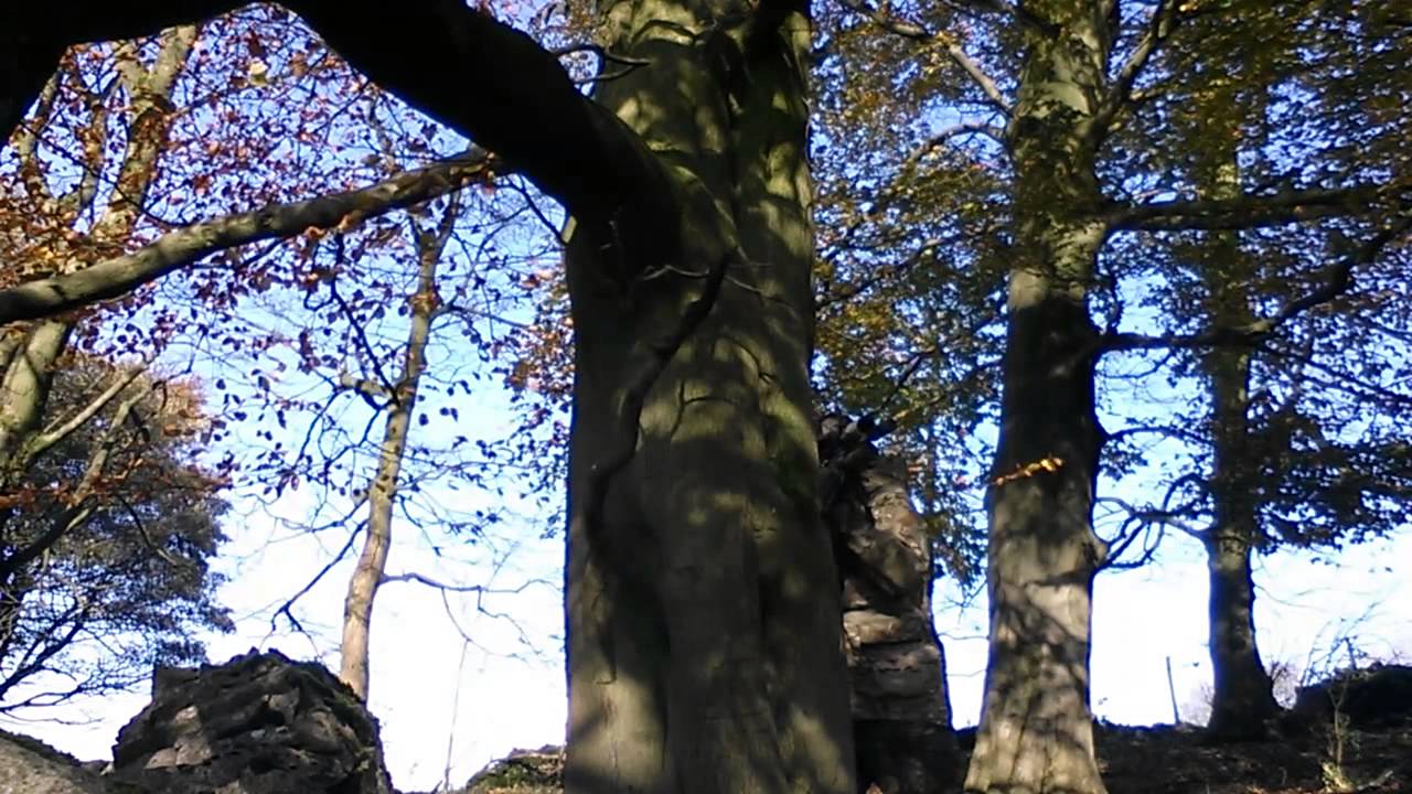 CORVID HUNTER