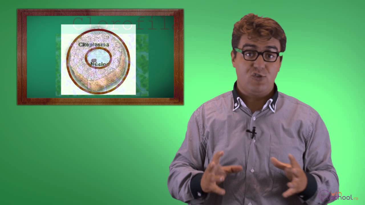 Biologie Clasa a 6-a Lectia: Celula
